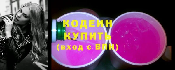 индика Покров