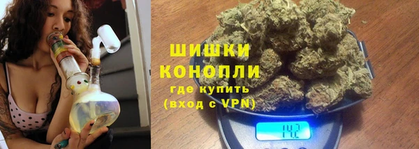 apvp Аркадак