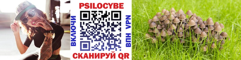 Галлюциногенные грибы Psilocybine cubensis Урень